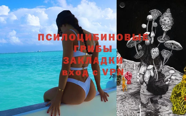 a pvp Киреевск