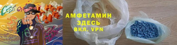 прущие грибы Козловка