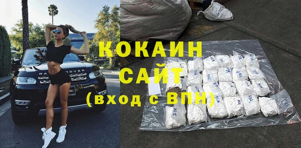 прущие грибы Козловка