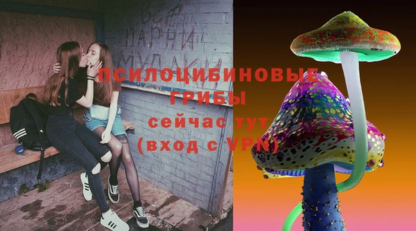 прущие грибы Козловка