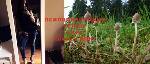 меф Козельск