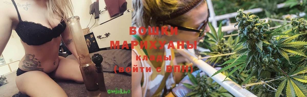 прущие грибы Козловка